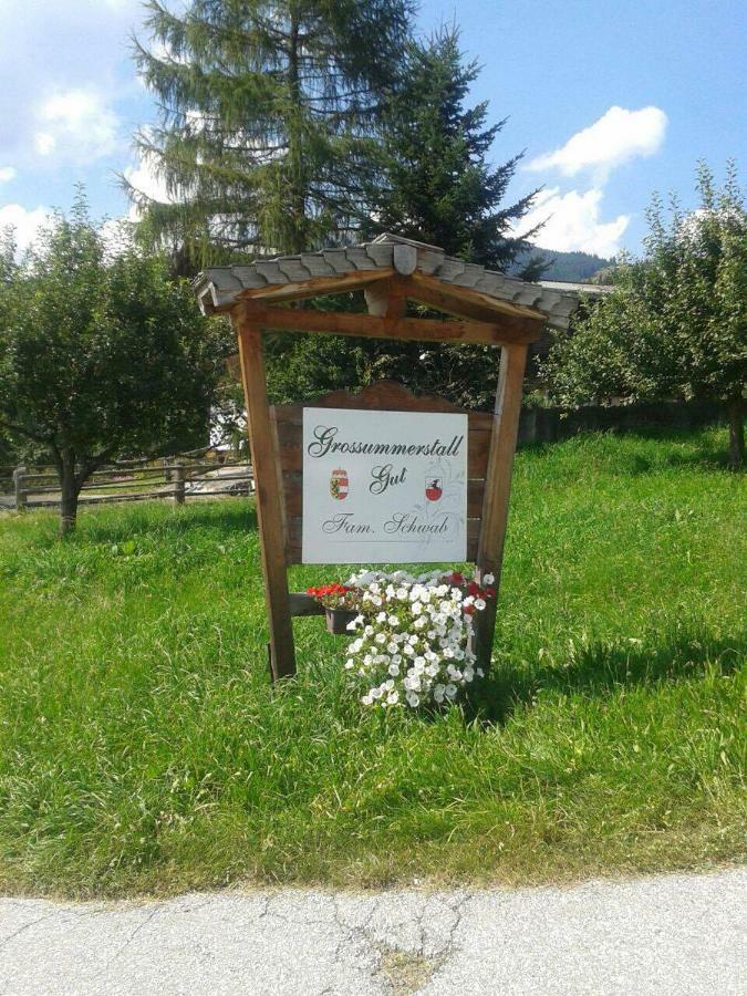 Grossummerstall Lägenhet Mittersill Exteriör bild